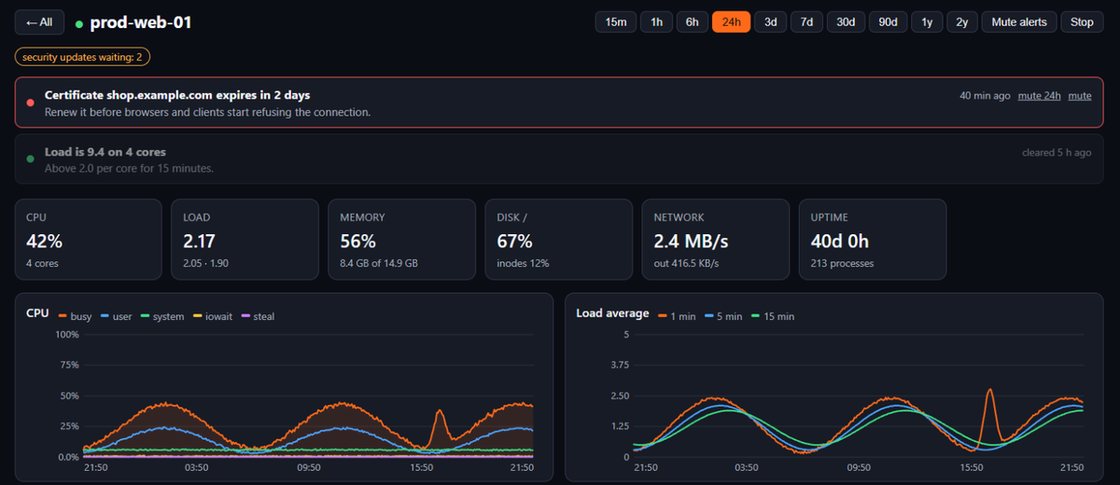 Server metrics in the Termalin cabinet — CPU, memory and more over time.