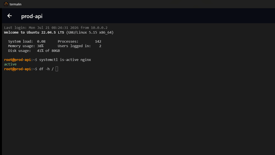 Replaying a recorded terminal session
