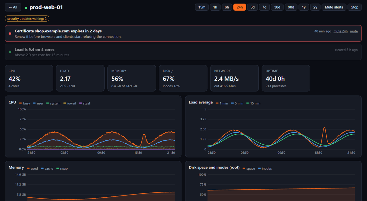 Métricas do servidor no painel web do Termalin: gráficos de CPU, carga, memória e disco de um servidor, com um alerta sobre um certificado TLS prestes a expirar